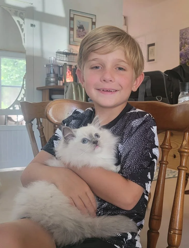 A young boy cradling his Blossom kitten in a wooden chair